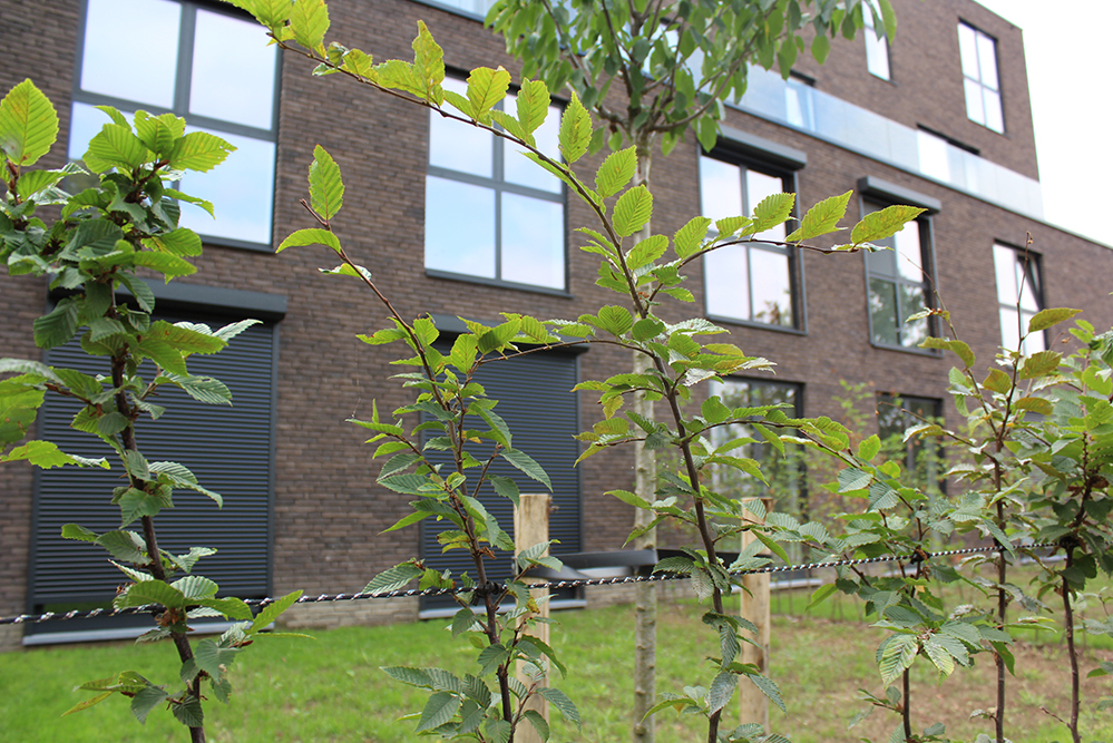 Voorzetrolluik Roller Shutter Volets Roulants nieuwbouw