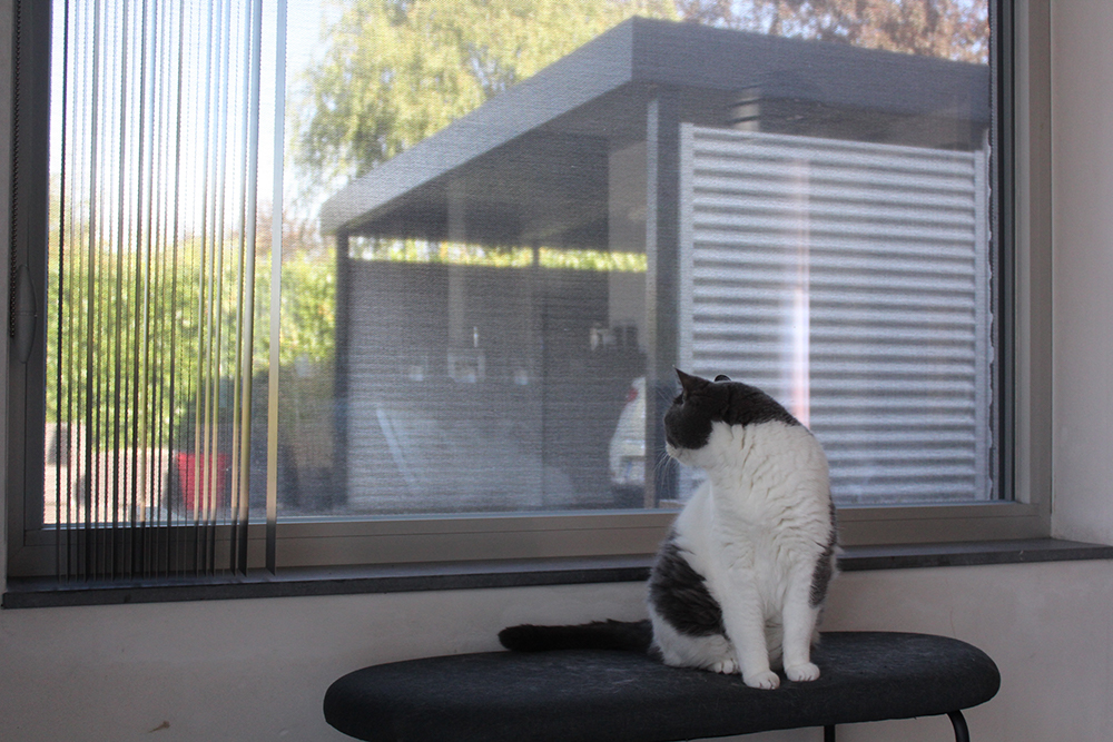 SUYS Systems zonwering solar